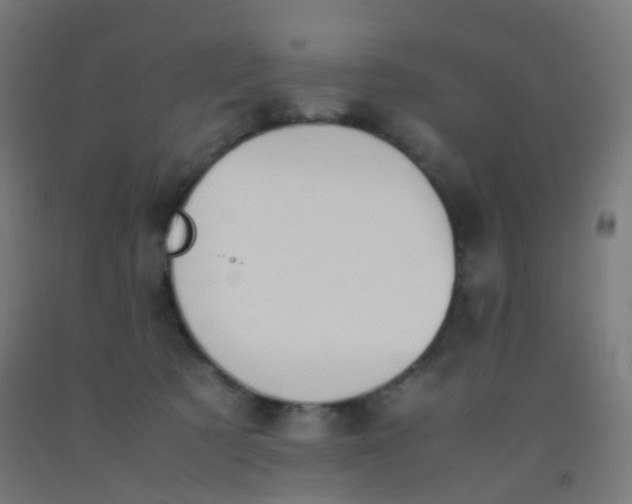 X0000092330321200709281431