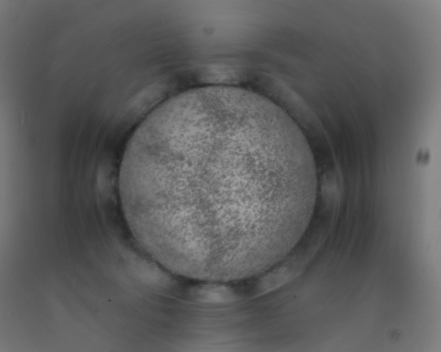 X0000092330322200709281431