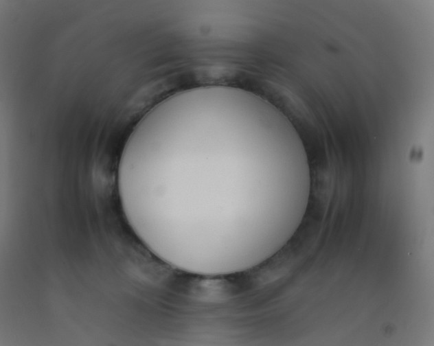 X0000092330324200709281431