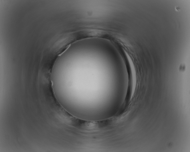 X0000092330325200709281431