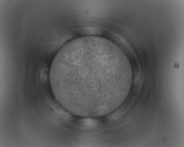 X0000092330326200709281431