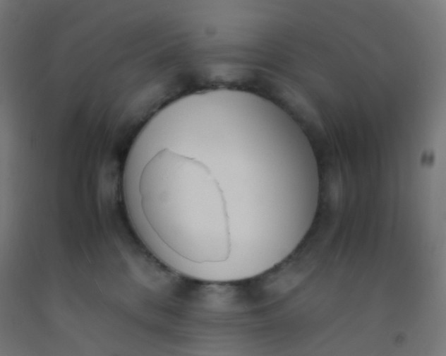 X0000092330328200709281431