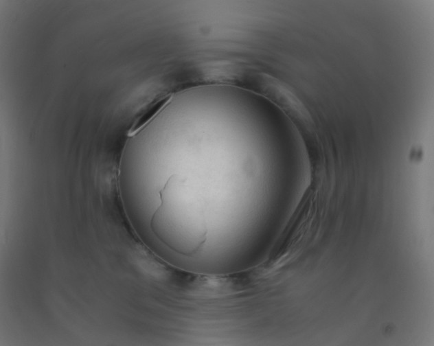 X0000092330329200709281431