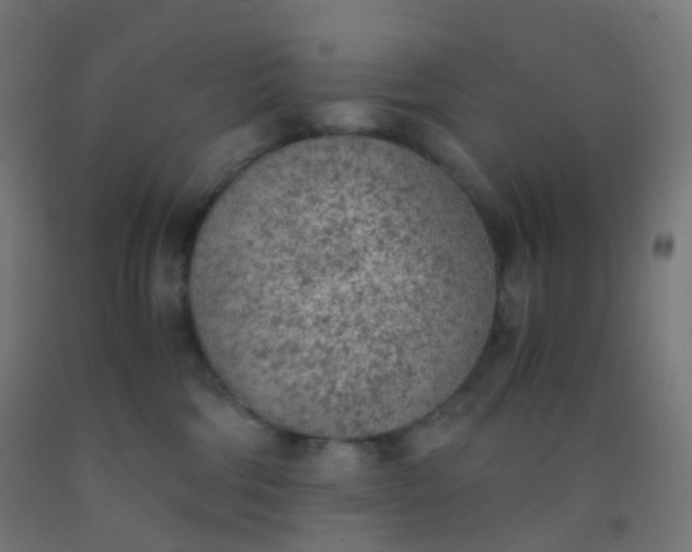 X0000092330330200709281431