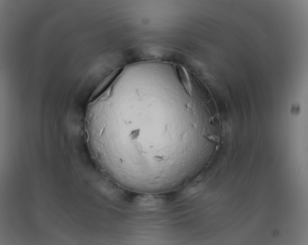X0000092330331200709281431