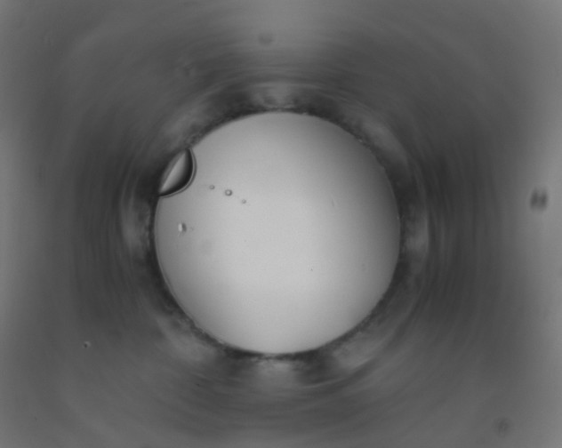 X0000092330332200709281431