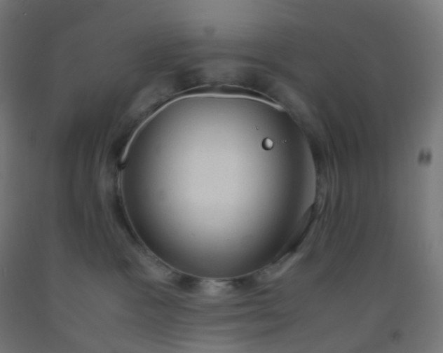 X0000092330333200709281431