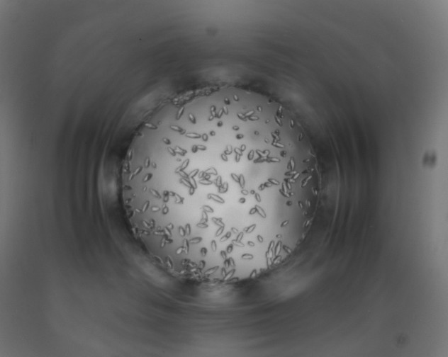 X0000092330334200709281431