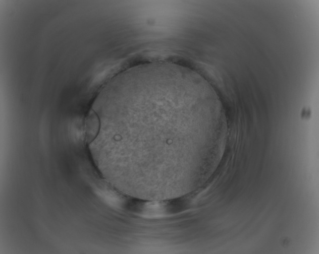 X0000092330335200709281431
