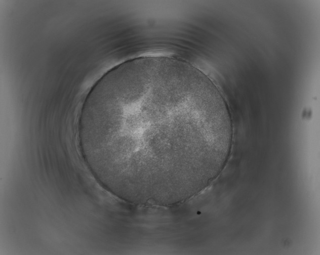 X0000092330337200709281431