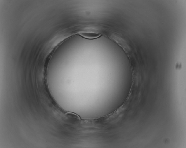 X0000092330338200709281431