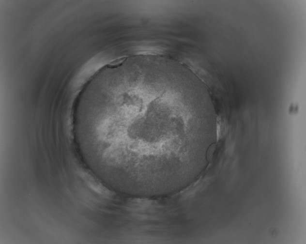 X0000092330339200709281431