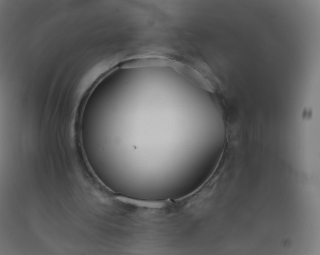 X0000092330340200709281431