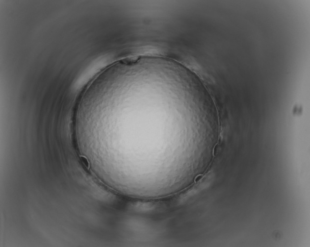 X0000092330341200709281431
