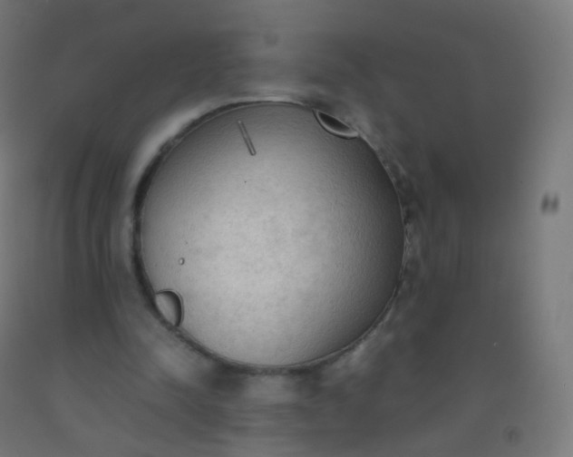 X0000092330342200709281431