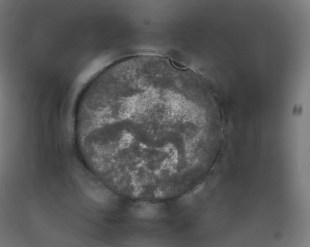 X0000092330343200709281431
