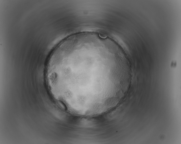 X0000092330346200709281431