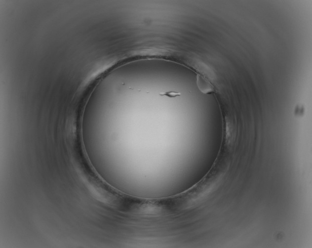 X0000092330348200709281431