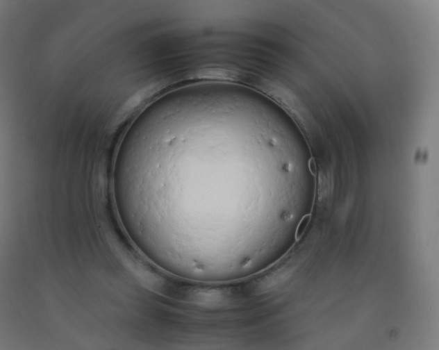 X0000092330349200709281431