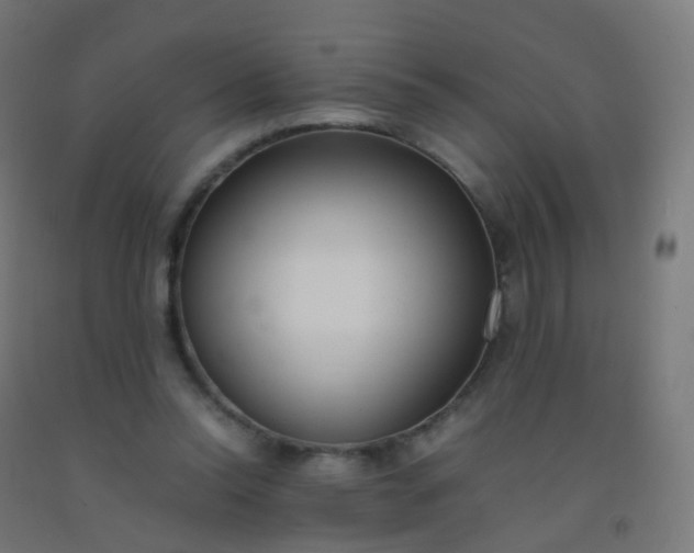 X0000092330350200709281431