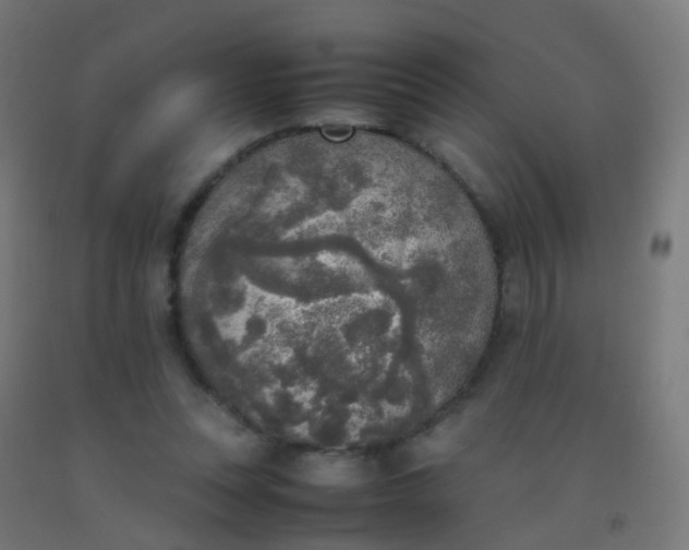 X0000092330351200709281431