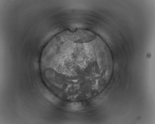 X0000092330353200709281431