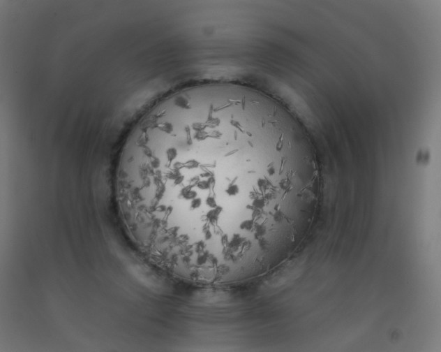 X0000092330354200709281431