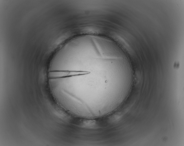 X0000092330355200709281431