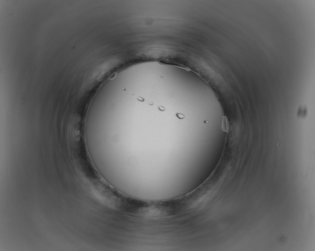 X0000092330356200709281431