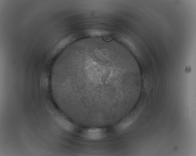 X0000092330357200709281431