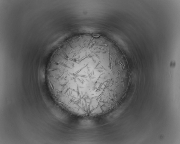 X0000092330358200709281431