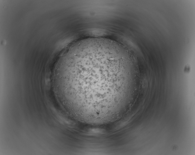 X0000092330360200709281431