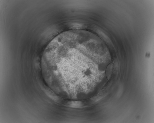 X0000092330361200709281431