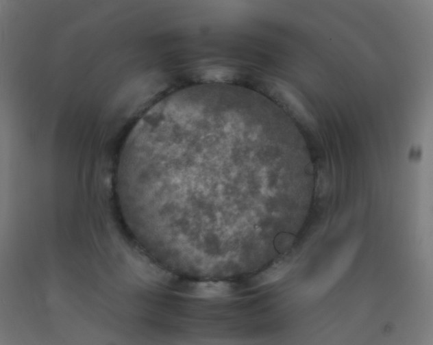 X0000092330363200709281431