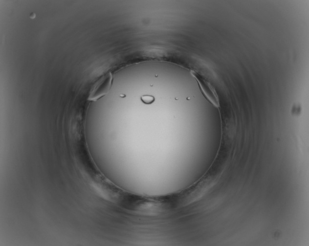 X0000092330364200709281431