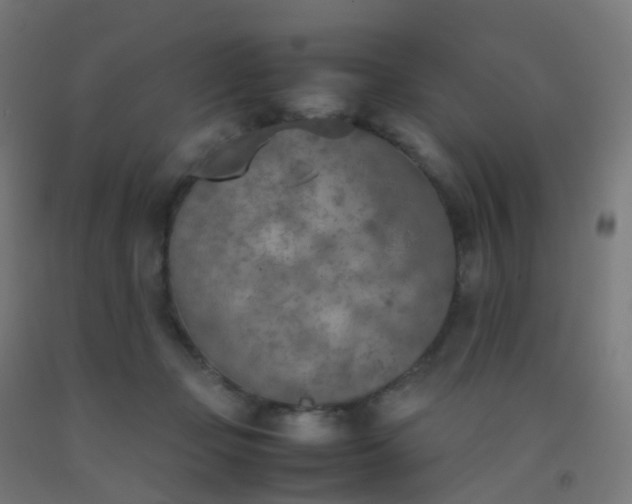 X0000092330365200709281431