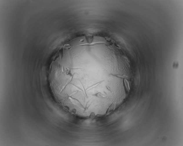 X0000092330366200709281431