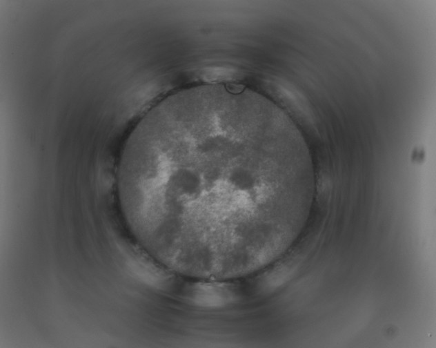 X0000092330367200709281431