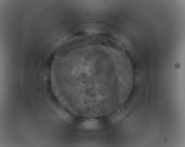 X0000092330369200709281431