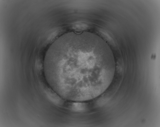 X0000092330371200709281431