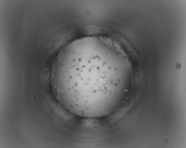 X0000092330372200709281431