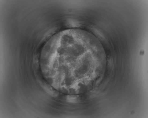X0000092330373200709281431