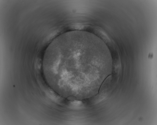 X0000092330374200709281431