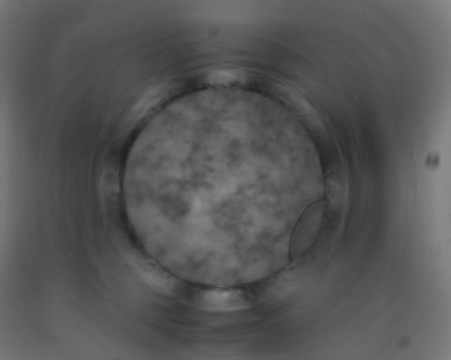 X0000092330375200709281431