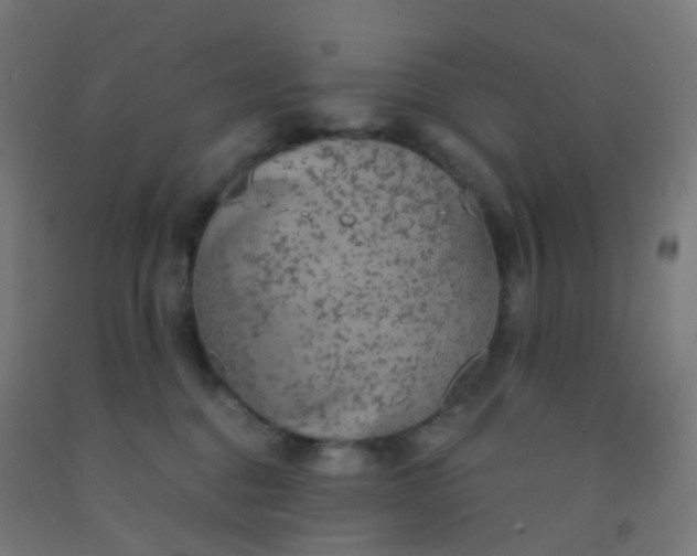 X0000092330376200709281431