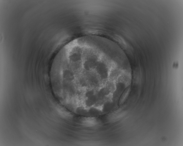X0000092330377200709281431