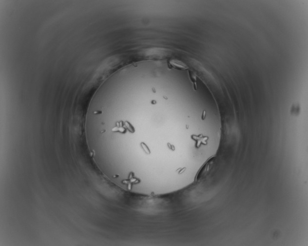 X0000092330379200709281431
