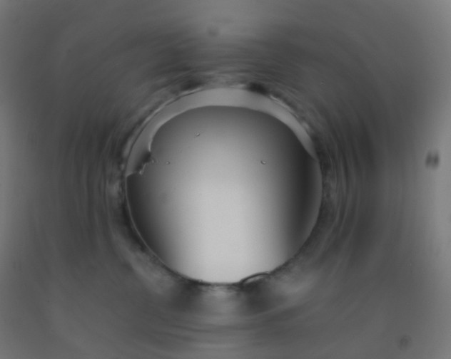 X0000092330380200709281431