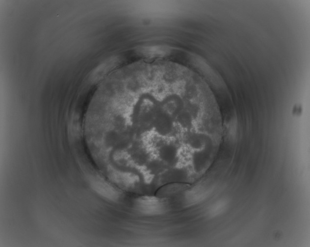 X0000092330381200709281431