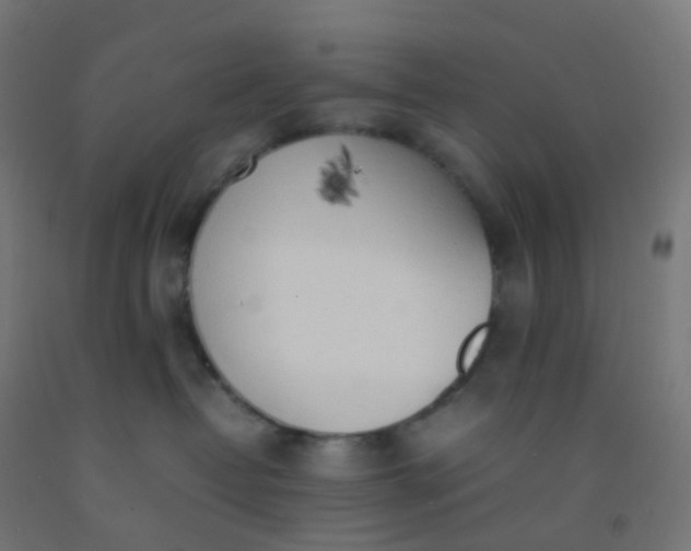 X0000092330382200709281431